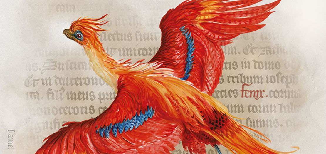 Jim Kay's painting captures the colors of the phoenix, which Harry Potter met in his second year at Hogwarts.