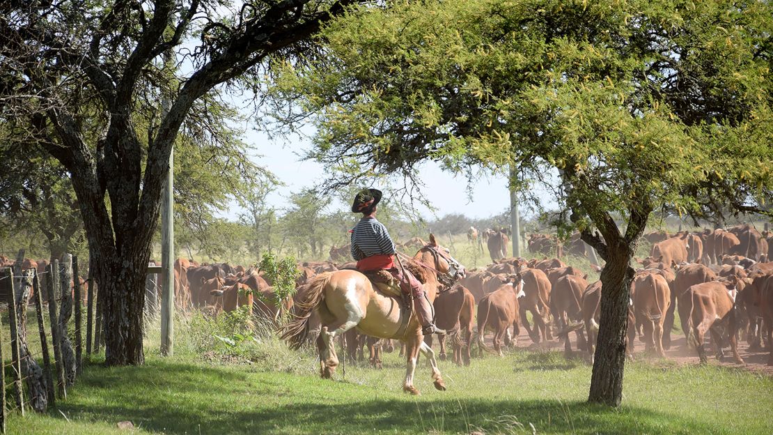 Most towns on the edge of the Iberá Wetlands have a strong gaucho culture.