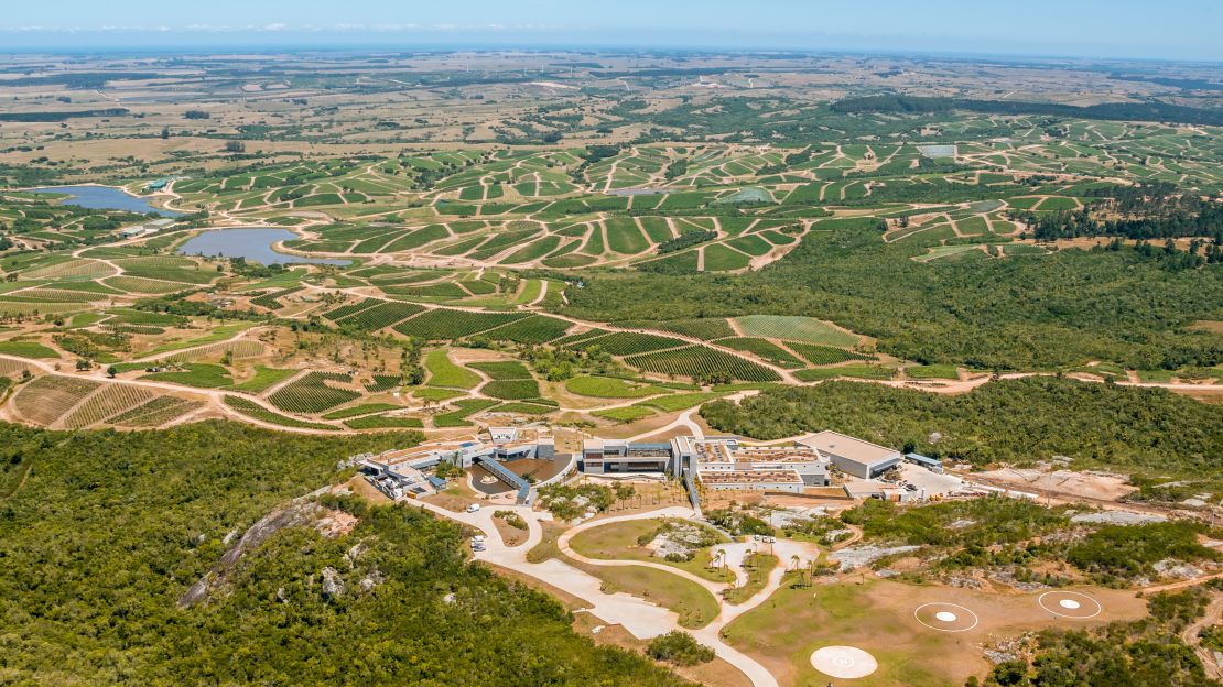 Garzón's wines are influenced by the cool breezes of the nearby Atlantic Ocean.