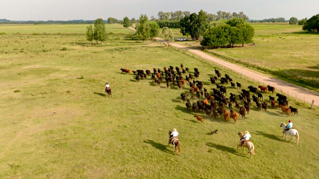 Argentina's vast estancia cattle ranches are where it raises its world-famous beef.