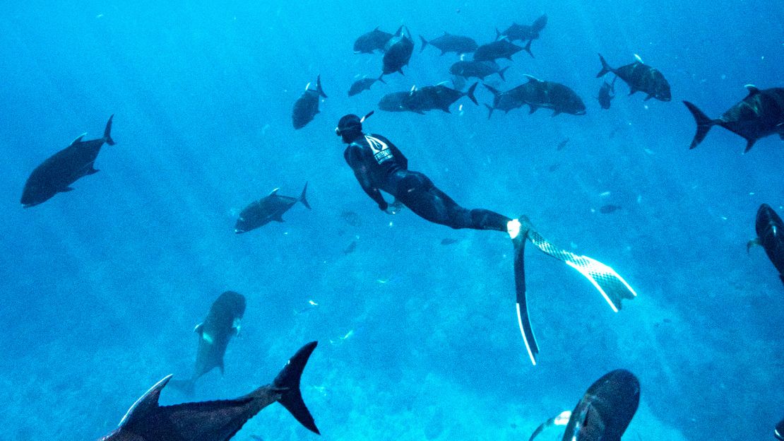 Champion freediver David Mulheron moved to Christmas Island in 2019 to enjoy its underwater attractions. 